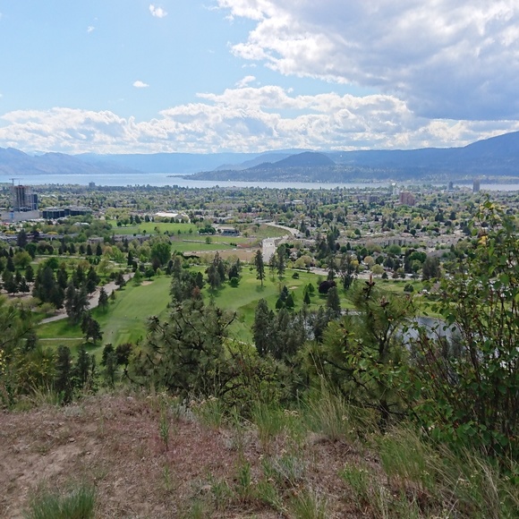 Meet your Posher, Emily - Picture 1 of 1